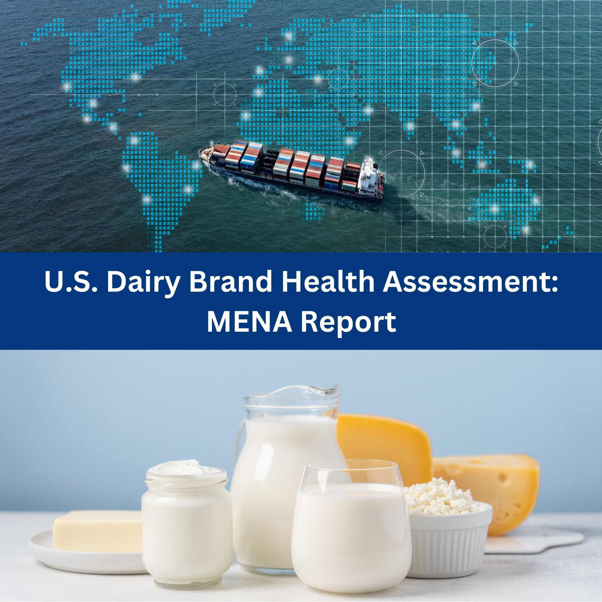 U.S. Dairy Brand Health Buyer Assessment MENA